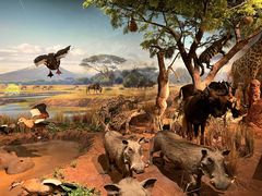 -陕西自然博物馆