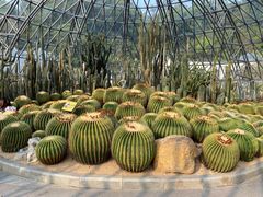 -深圳仙湖植物园