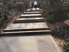 -上海佘山国家森林公园西佘山园