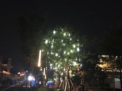 -映月湖中央公园