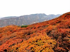 -周口店坡峰岭风景区