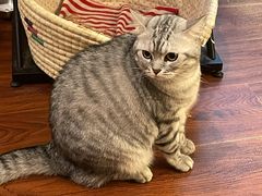 -H立方实景剧情密室(天河旗舰店)