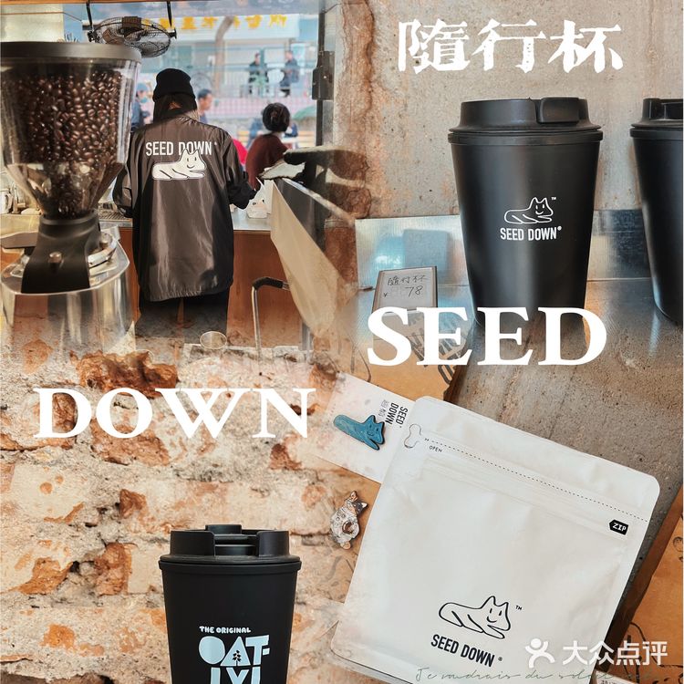 东山新晋打卡适档coffee SEED DOWN