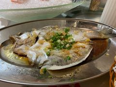 -石岐乳鸽村(南海第三分店)
