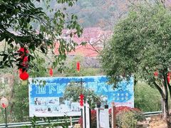 -兰溪地下长河