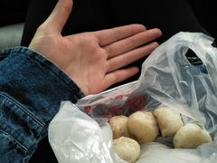 -吃不亏特色包子(三峡广场店)