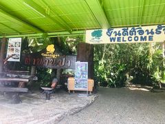 -绿光森林餐厅