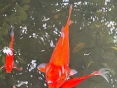-东山雕花楼