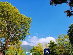 -丽江三义国际机场