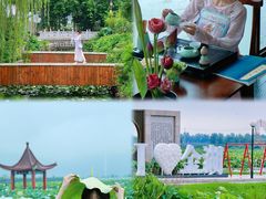 -荷花荡