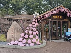 -金鸡湖桃花岛