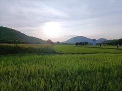 -风云岭森林公园