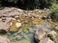 -广州白江湖森林公园