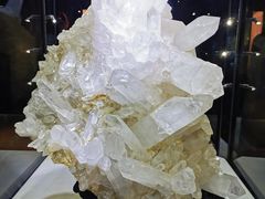 -中国地质大学逸夫博物馆