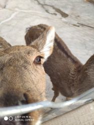 -萌宠亲子动物乐园(槐房万达店)