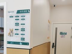 -瑞派康怡24h宠物医院·犬猫医疗中心·微创绝育(瑞景分院)
