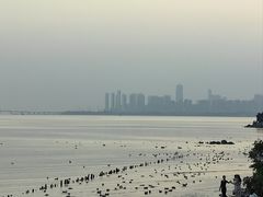 -深圳湾公园(南山区)