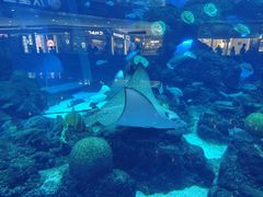 -成都浩海立方海洋公园