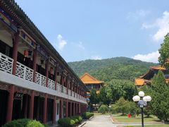 -天下玉苑