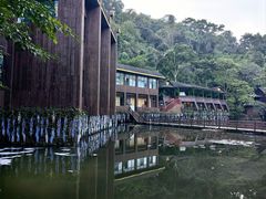 -野象谷景区