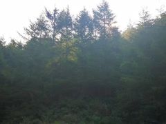 -驼梁风景区