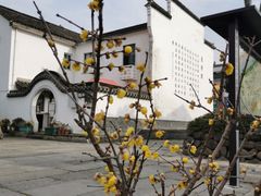 -东梓关景区村庄