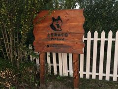 -上海崇明金茂凯悦酒店