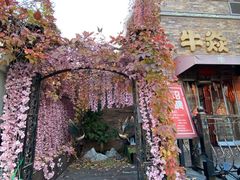 -牛焱·烧肉酒肆(五大道店)