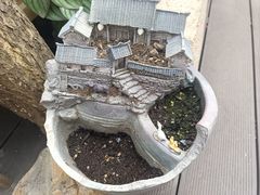 -厝味火锅·潮汕卤水火锅(十一合店)