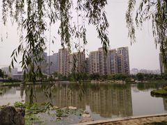 -木塔寺遗址生态公园