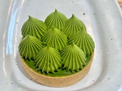 抹茶挞-猫里有甜