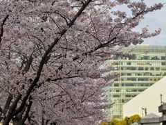 -永乐路-路侧停车场