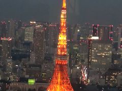 -六本木新城展望台(东京城市景观)