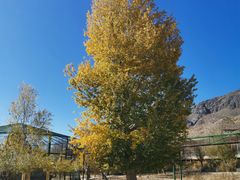 -新疆天山野生动物园