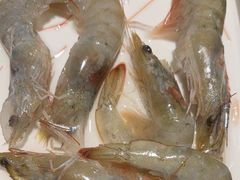 -季季红火锅(长沙步行街店)