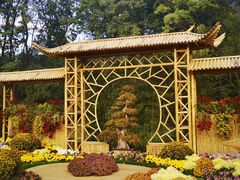 -上海共青森林公园