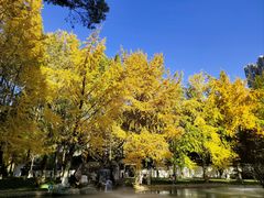 -温江公园