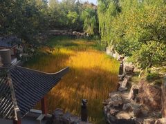 -红山国家森林公园