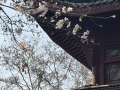 -堤角公园