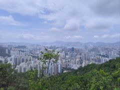 -狮子山郊野公园