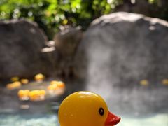 -湖泉半山温泉(湖泉生态园)