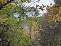 -罗田薄刀峰风景区