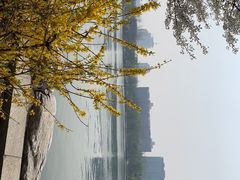 -中华世纪坛-停车场