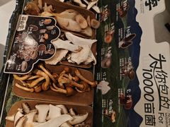 -芸山季·云南山珍菌火锅(南翔印象城MEGA店)