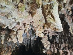 -怀托摩萤火虫洞