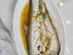 清蒸大白鱼-丹水桥地锅鱼·翘嘴鲌·地方特色全鱼宴(丹江口大坝店)