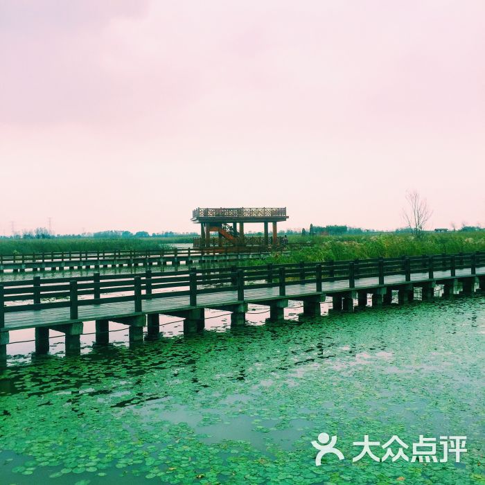 杭州湾国家湿地公园