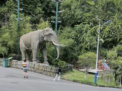 -栾川竹海野生动物园