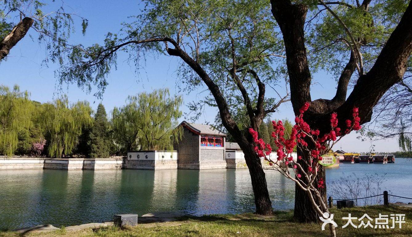 花的海洋+最能感受北京春意的地方之一