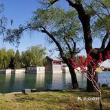 花的海洋+最能感受北京春意的地方之一